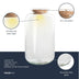Sven XL Glas Terrarium mit LED-Korken Ø 23 cm ↑ 43 cm Bild 5