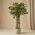 Ficus Liana Artificial Tree 140cm - Easy-Care Decoration for Your Home Bild 4