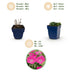Green boutiQ - Perennial - Geranium sang. Max Frei - Cranesbill - Ground Cover - Pink - 24 Plants - Pot 11cm - Height 15-25cm Bild 4