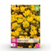 GreenboutiQ Eranthis Cilicica Blumenzwiebeln: Gelbe Frühblüher, 25 Stück Bild 1