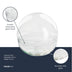 Glasterrarium Dome XL - Kugel-Ökosystem für Pflanzen, Ø 28cm Bild 3
