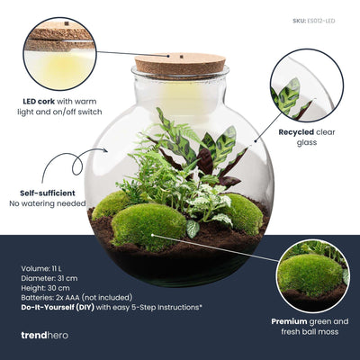 Flaschengarten Bolder Bob: DIY-Pflanzterrarium mit LED-Korken