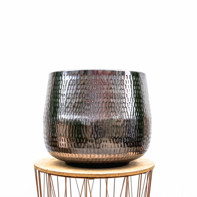 Pot Jenna Lead: Elegant dark leaves, easy to care for, 29x24