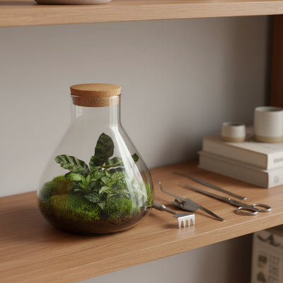 Bottle Garden - Sammie - ↕ 26 cm - Rake + Shovel + Tweezers + Scissors
