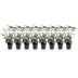 GreenboutiQ Eleagnus ebbingei Compacta Heckenpflanzen - Immergrün Bild 2