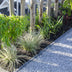 Lomandra longifolia 'White Sands' Ø19cm - 40cm Bild 6
