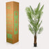 Künstliche Goldpalme Areca Lutescens 240 cm – Tropisches Grün Bild 5