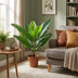 Kunst Philodendron Jungle King - 45cm | Tropischer Flair ohne Aufwand Bild 5