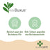 GreenboutiQ Buchsbaum Pyramide - Krankheitsresistenter Buxus 60-70cm Bild 6