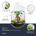 Bottle Garden Egg XL Bonsai - DIY Plant Terrarium, 30 cm Bild 3