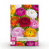 GreenboutiQ Ranunculus Mix Blumenzwiebeln - 40 Stück, Gr. 5/6 Bild 1