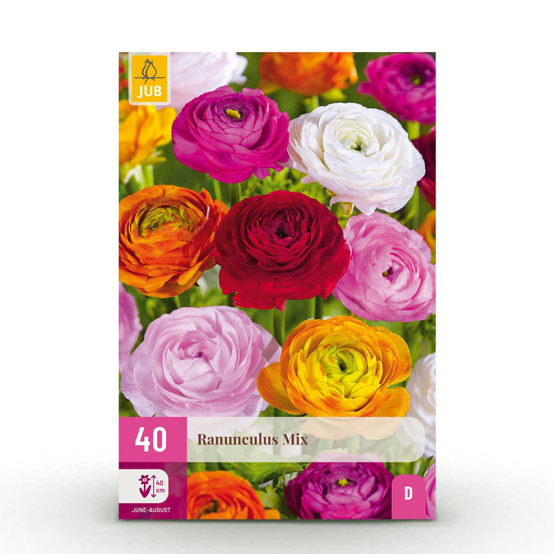 GreenboutiQ Ranunculus Mix Blumenzwiebeln - 40 Stück, Gr. 5/6