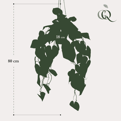 Kunstpflanze Anthurium Clarinervium 80 cm – Dekorative Hängepflanze