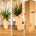 Außenseiterbox - 10 Pflanzen-Überraschung (Ø12cm) Bild 4