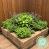 GreenboutiQ Kräuterpaket: 8 Teekräuter für Ihren Duftgarten Bild 5