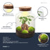 Flaschengarten DIY Set mit Bonsai & Moos Bild 2