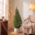 Picea glauca Conica - Zuckerhutfichte - Grün - Weihnachtsbaum - Ø26cm - ↕110cm Bild 3
