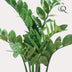 Künstliche Zamioculcas Zimmerpalme, 70 cm Bild 3