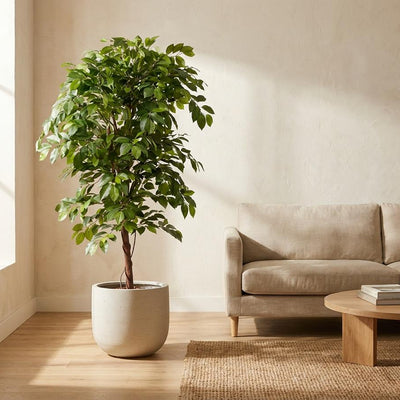Künstlicher Ficus Deluxe Rankenbaum 140cm