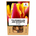 Tulpenbollen Jan Seignette – 20 Stuks | KH Bloembollen® | Rood-Geel Gestreepte Tulp – Klassiek & Opvallend – Voor Tuin of Pot – Maat 11/12 – Vers van de Teler Bild 7