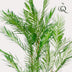 Artificial Palm Chamaedorea Elegans Parlor Palm 120 cm Bild 4