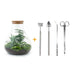 Bottle Garden DIY Set Sam XL: Self-Sufficient Biotope with Tools & Plants Bild 1