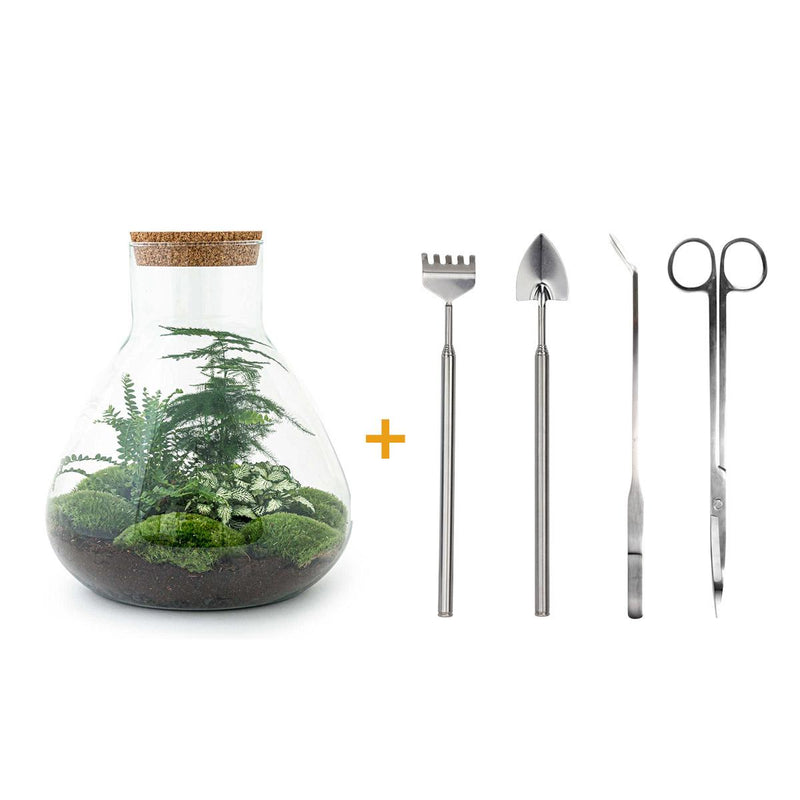 Bottle Garden DIY Set Sam XL: Self-Sufficient Biotope with Tools & Plants