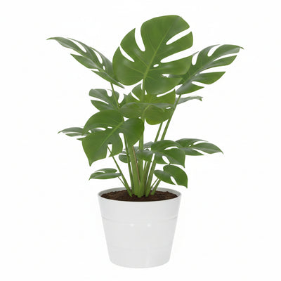 Wasserdichte Innenhülle für Pflanztöpfe - Ø25cm, 15cm hoch