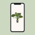 Alocasia Gageana 'California' - Elefantenohr, Ø21cm, ↕80cm Bild 5