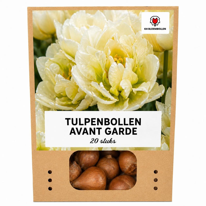 Avant Garde Tulpenzwiebeln – 20 Stück – Gelbe gefüllte Tulpensorte
