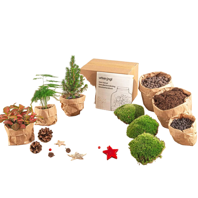 Plant Terrarium Kit: Mini Christmas Tree & Decorations for DIY Festivities