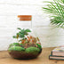 Bottle garden - Sammie Coffea - ↕ 26 cm - Rake + Shovel + Tweezers Bild 3