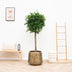 Pot Indigo Vintage Gold D46 x H41 cm Bild 4