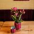 Kolibri Orchids | Rote Congo Orchidee + Retro roter Übertopf – Topfgröße Ø9cm | blühende Zimmerpflanze – frisch vom Züchter Bild 3