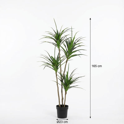 Kunst Dracaena 165cm - Künstliche Pflanze für stilvolles Ambiente