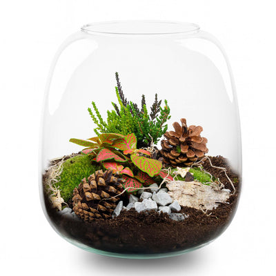Weihnachts-Terrarium mit Pflanzen – DIY-Set zum Selbstgestalten, Ø 19 cm ↑ 20 cm
