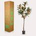 Artificial Magnolia Grandiflora Tree, 150 cm – Easy Care & Stylish Bild 6