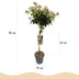 GreenboutiQ - Stamm-Pflanze - Viburnum tinus Eve Price - Terrassenpflanze - Immergrün - Winterhart - Weiß-Rosa Blüte - Topf 19cm Höhe 90cm Bild 5