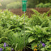 Rain gauge 40ml steel 95cm Bild 2