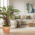 Calathea Rufibarba Ø17cm - Samtige Blätter & Geheimnisvolle Bewegung Bild 5
