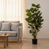 Kunstpflanze Polyscias Aralia, 105 cm – Grüner Blickfang für Ihr Zuhause Bild 4