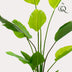 Kunstpflanze Strelitzia Nicolai (Paradiesvogelblume) - 150 cm Bild 3