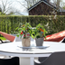 Rote Snack-Paprika Pflanze: Frisch vom Balkon ernten! Bild 6