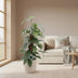 Epipremnum Pinnatum Cebu Blue: Elegant Houseplant with Blue-Green Leaves Bild 3