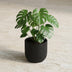 Capi Topf Schale Skin Antraciet D17cm H15cm - Moderner Pflanztopf Bild 6