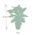 Calathea Zebrina (Pfauenpflanze) im 19cm Topf, 80cm hoch Bild 2