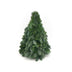 Nobilis-Weihnachtsbaum - ↕40cm Bild 1
