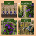 6x Clematis The President - Waldrebe The President - Lila - Kletterpflanze - Ø9cm - ↕35cm Bild 5