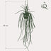 Künstliche Rhipsalis - Korallenkaktus, 85 cm Bild 2