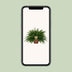 Nephrolepis Green Lady - Bostonfarn, Ø19cm, ↕60cm Bild 5